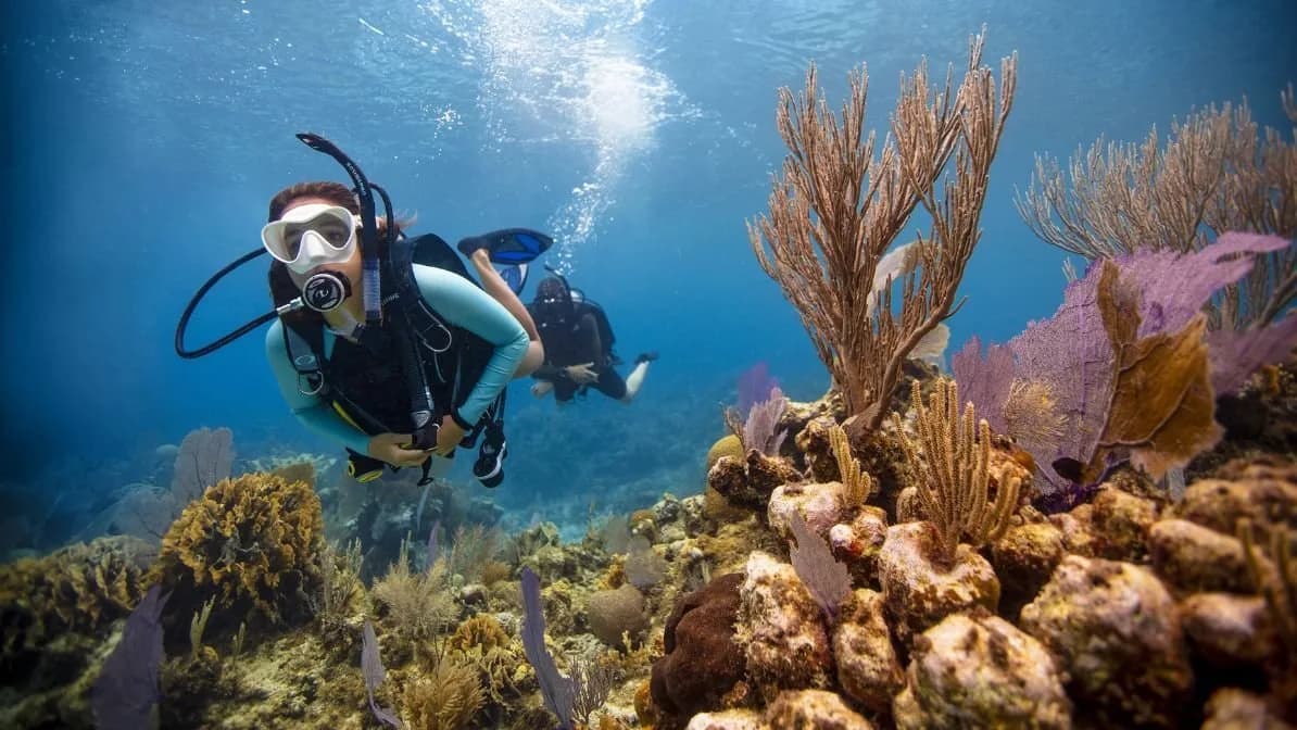PADI Open Water Diver (elearning)