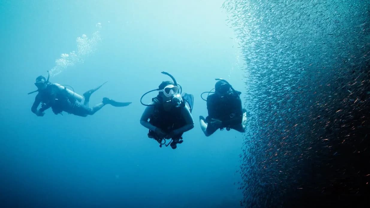 PADI - Deep diver